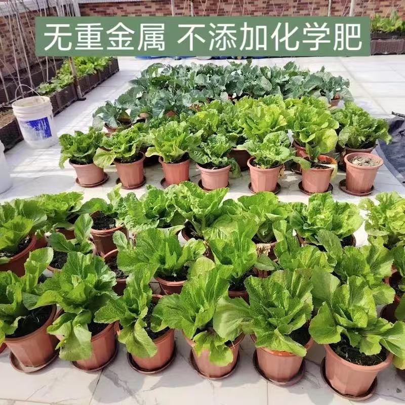 野菜栽培専用土有機栄養土ベランダ野菜栽培専用土養花土田園土鉢植え野菜栽培土|undefined