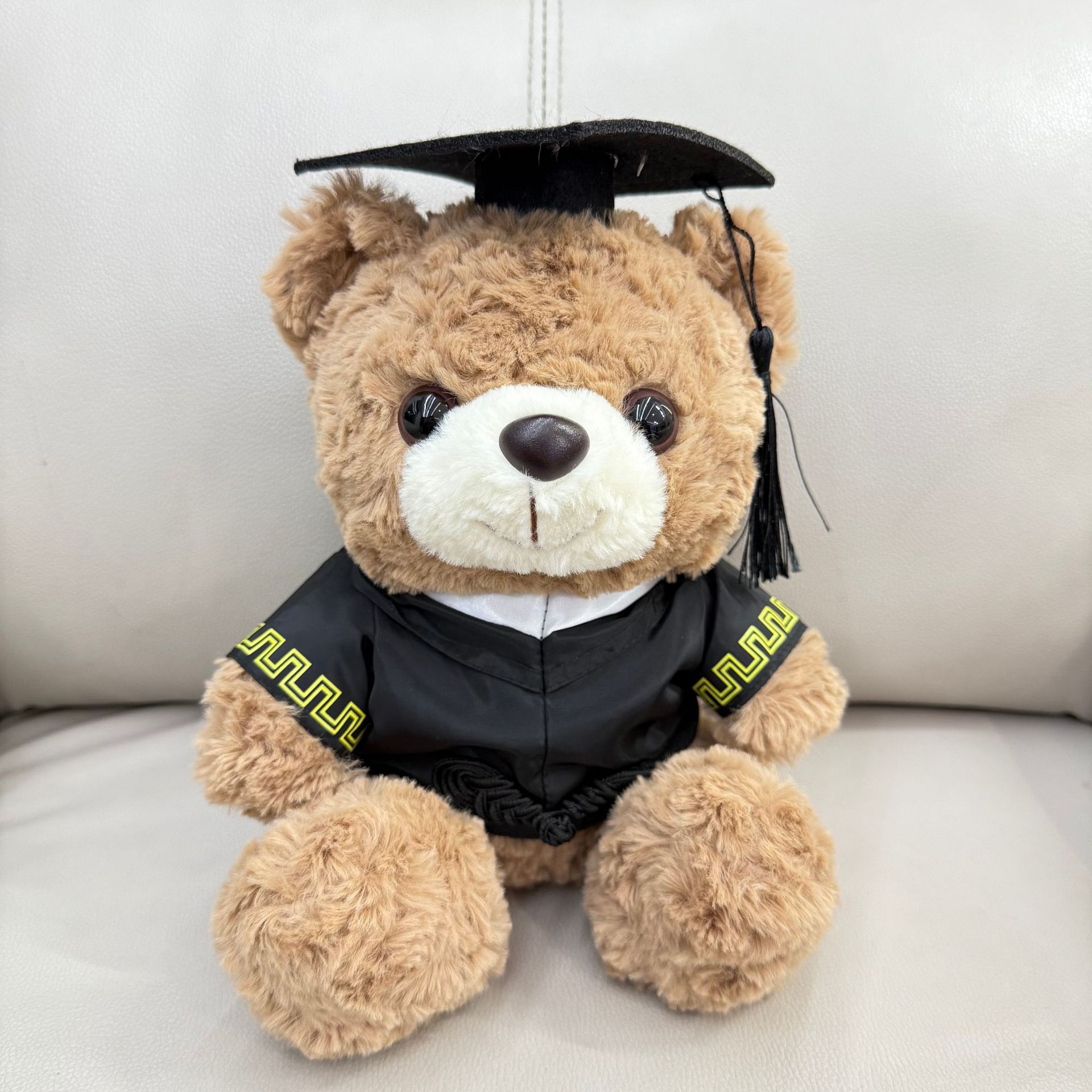 Graduación Teddy Bear Puppy Doctor Teddy Bear School Print logotipo regalo de graduación