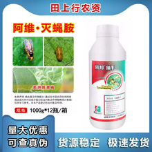 �s���31%���S&middot;��ω���˶����ްߝ�ω ���S�����߲��rș���x��