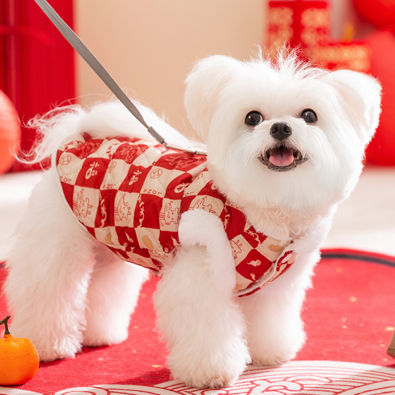 Otoño y invierno perros perros pequeños y medianos para celebrar Año Nuevo a cuadrillas de algodón de dos patas para gatos calentados y gruesos mascotas ropa de gato
