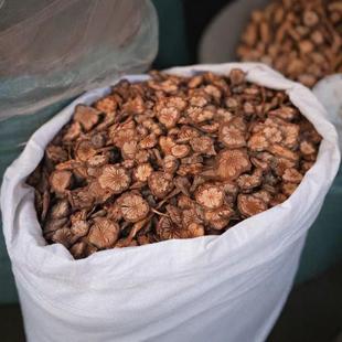 Ѫͨ�t��Ѫ��ͨ�XѪͨ��ș�Ĵ�Ѫ���ݾ������Ѫͨ�F��Ѫͨ�Ҝ���