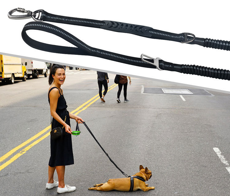 Dog Leash Image 9