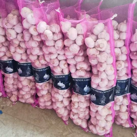 脱水蔬菜;蒜;其他调味品