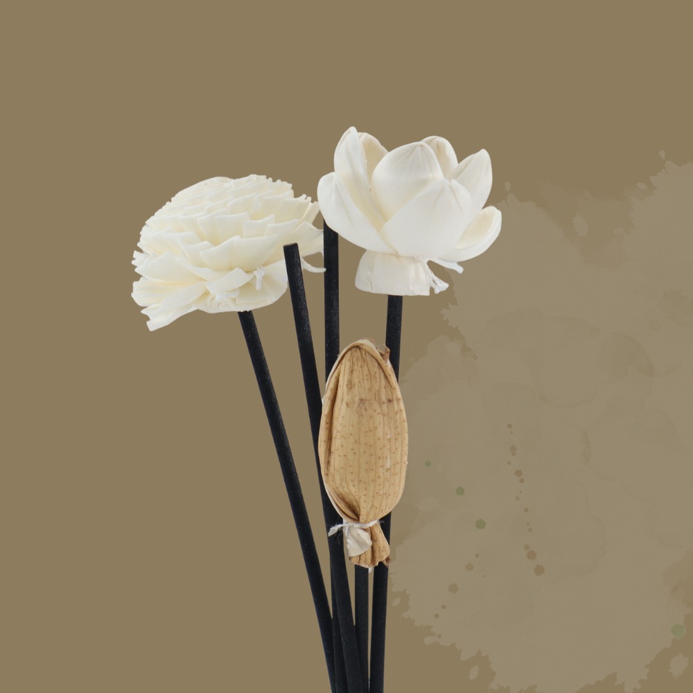 Accesorios de fragancia al por mayor sin fuego para la volatilización de flores de hierba flor seca de caña para extender la decoración de fragancia una variedad de opciones