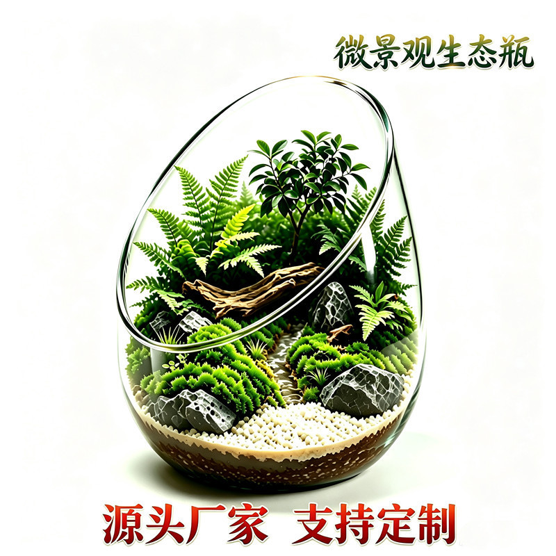 Micro-Landscape Glass Container Moss Bottle Succulent Ecological Bottle Landscaping Bottle Transparent Potted Plant DIY Material Kit Decoration