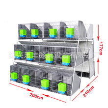 �û\ �Bֳ���û\ �r�������Bֳ�Ԅӻ��û\�O������