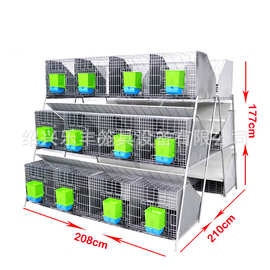 兔笼 养殖肉兔笼 农场大型养殖自动化兔笼设备新型