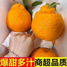 正宗四川不知火丑橘新鲜10斤当季水果丑八柑橘子丑橘耙耙桔春柑见