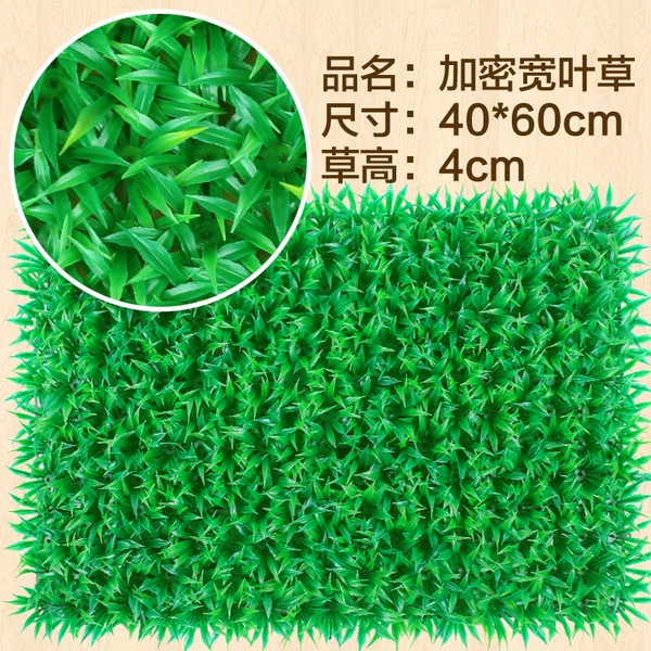 Encrypted wide leaf grass