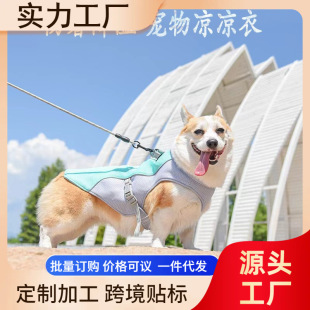 ?����������ļ����������·��ķ�����R�ױ��Ŀ»���Ȯ͸��