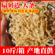 【10斤/箱】 新货扇贝边干贝边鲍鱼边海鲜干货辣炒凉拌批发商用