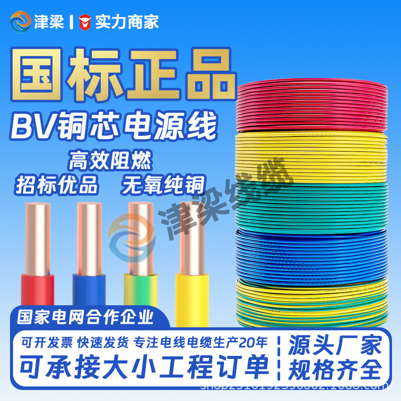 全球热销阻燃BV线4/6/10平方电线国标铜芯户外家装开关插排电源线