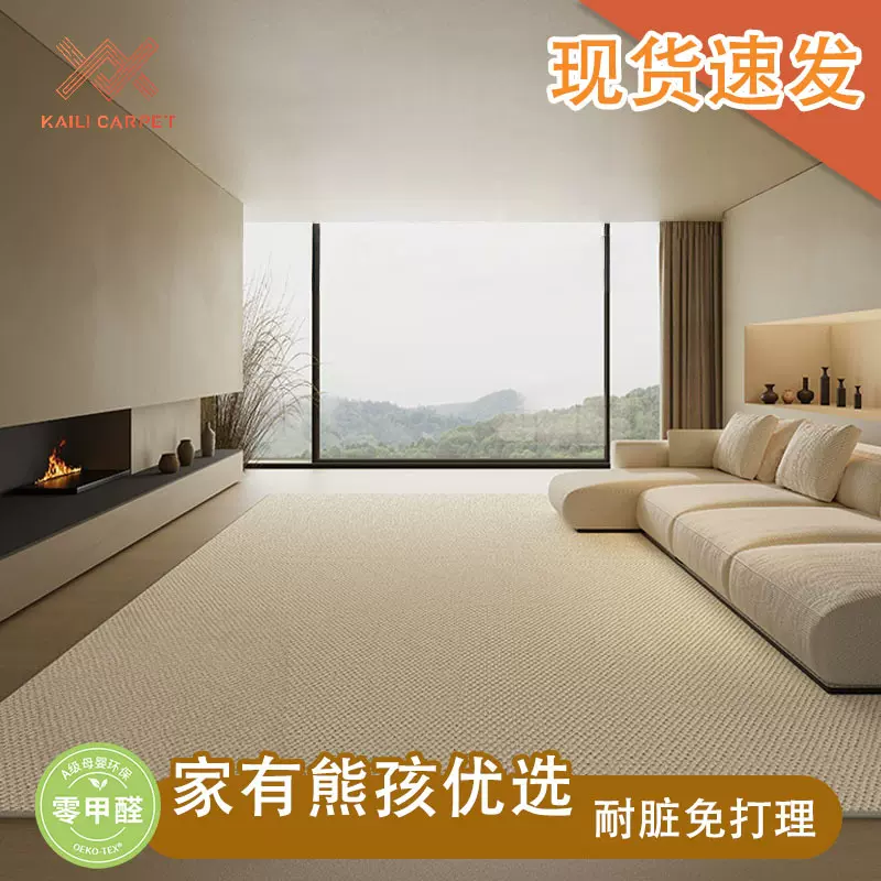 地毯客厅2025新款硅藻丝奶油风防水免洗可擦高级感大面积全铺地垫