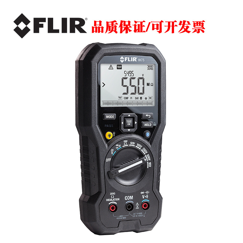 菲力尔FLIR仪 IM75 1000V电工电阻表
