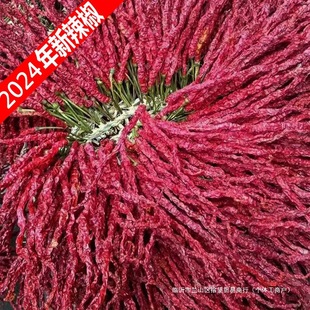���������󷽰����F���خa����������Ĵ����G�l500g���l