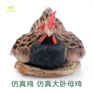 �uģ�͹��u�˱�ĸ�u�[�����u�µ��u��������ֹ�ˇ���ֹ�