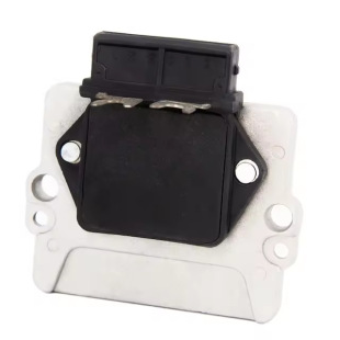The ignition module is suitable for Volkswagen Audi 357905352 0273200111 0273200118