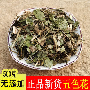 ���u��ɫ�� Ұ�����r����R�t�� 500�˰��]��؛��؛