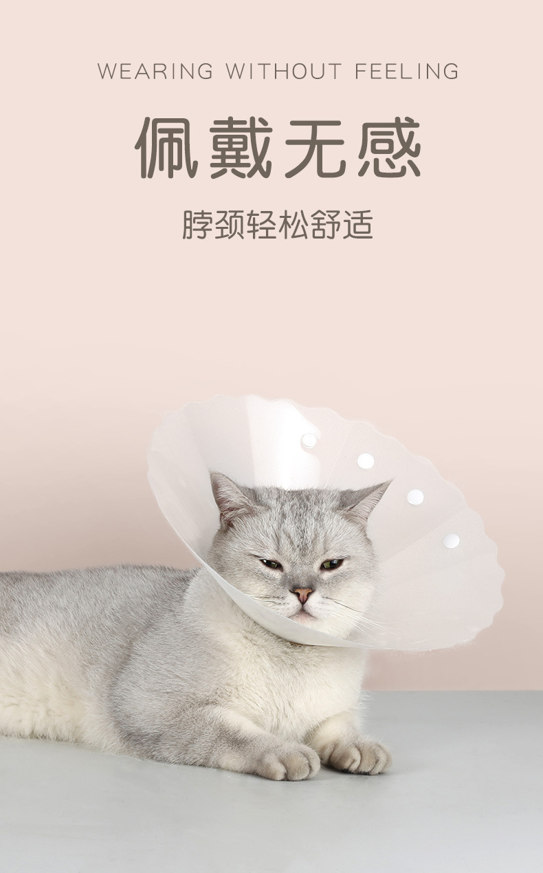 波浪伊丽莎白圈_07