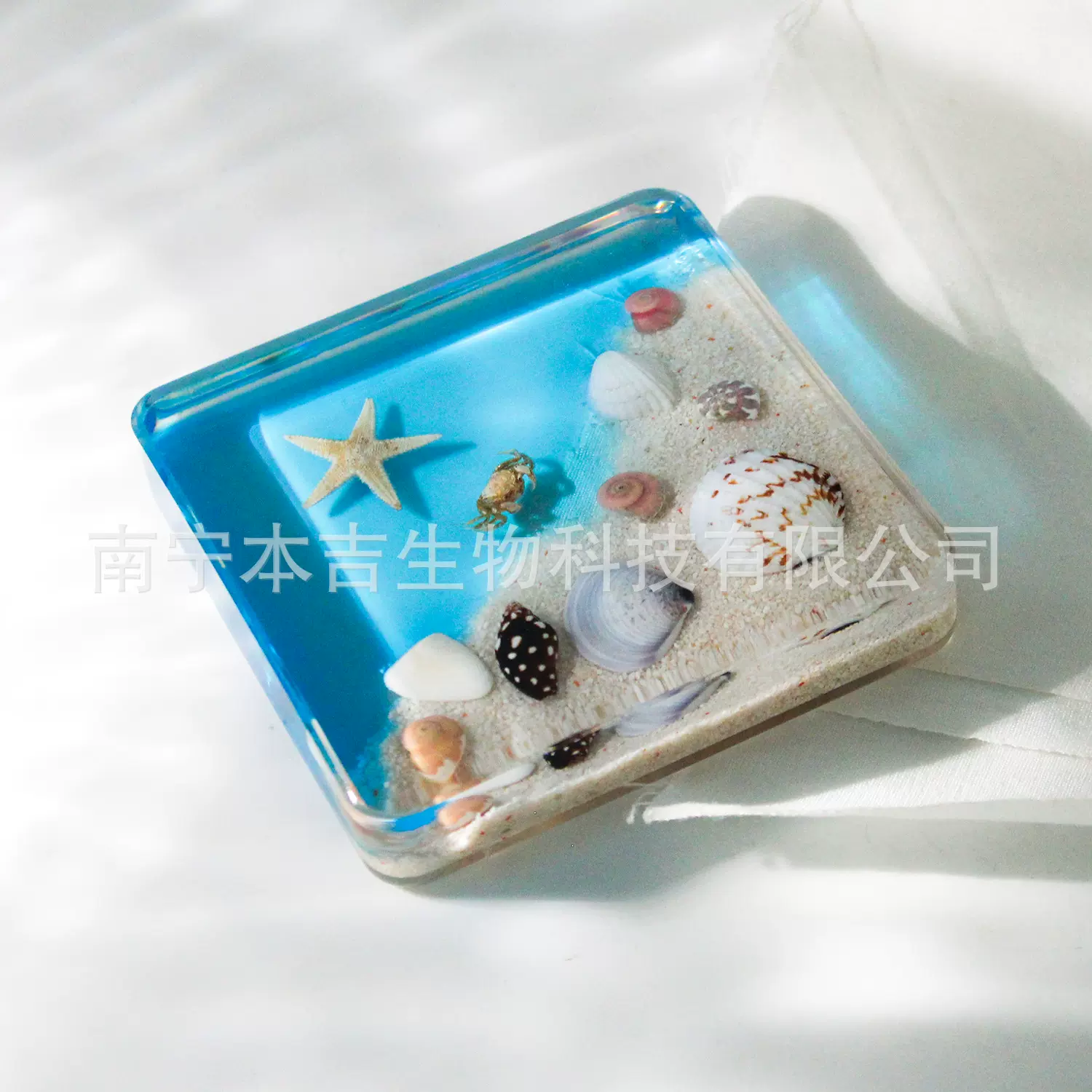 厂家批发新款树脂贝壳海螺海星沙滩海洋意境创意摆件旅游纪念品