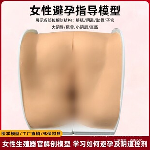 ����ָ��ģ��Ů�Ԍm�ȹ������ϭhӖ���D�ƙz��Ů����Ӌ���̌W�̾�