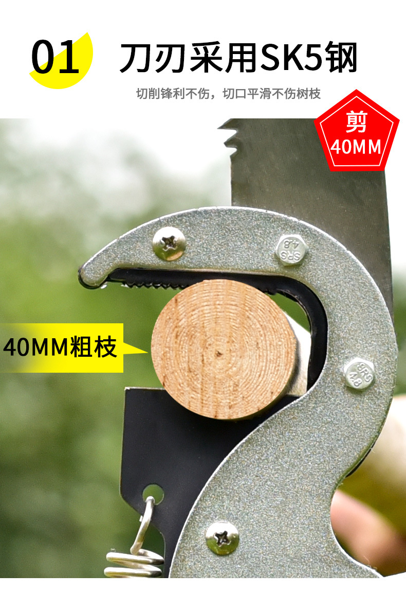 O1CN01SdTFYS2GxbgTWYUE4_!!2200