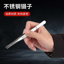 厂家供货不锈钢镊子医疗工具工业镊子养殖医疗镊子兽用镊子批发