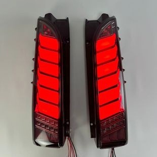 Sea Lion Tail Light