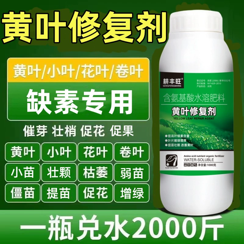 Воспитатель для растений Желтые листья Фруктовые деревья, овощи, цветы, желтые листья