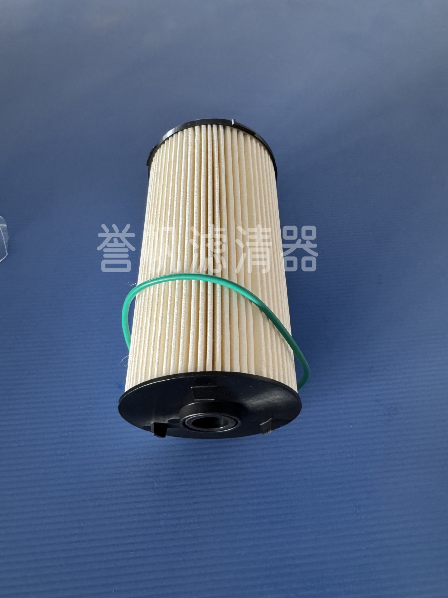 Supply 24137737 24008818 23759508      Diesel Fuel Filter Filter