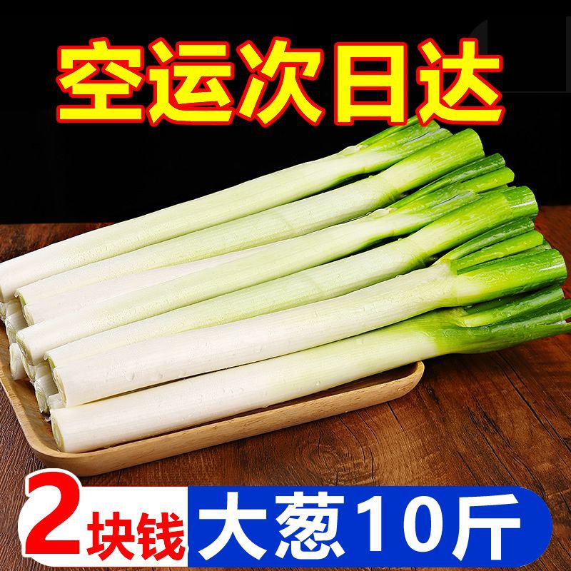 大葱批发山东铁杆10斤一捆5斤新鲜蔬菜批发价3斤现挖现发厂家批发