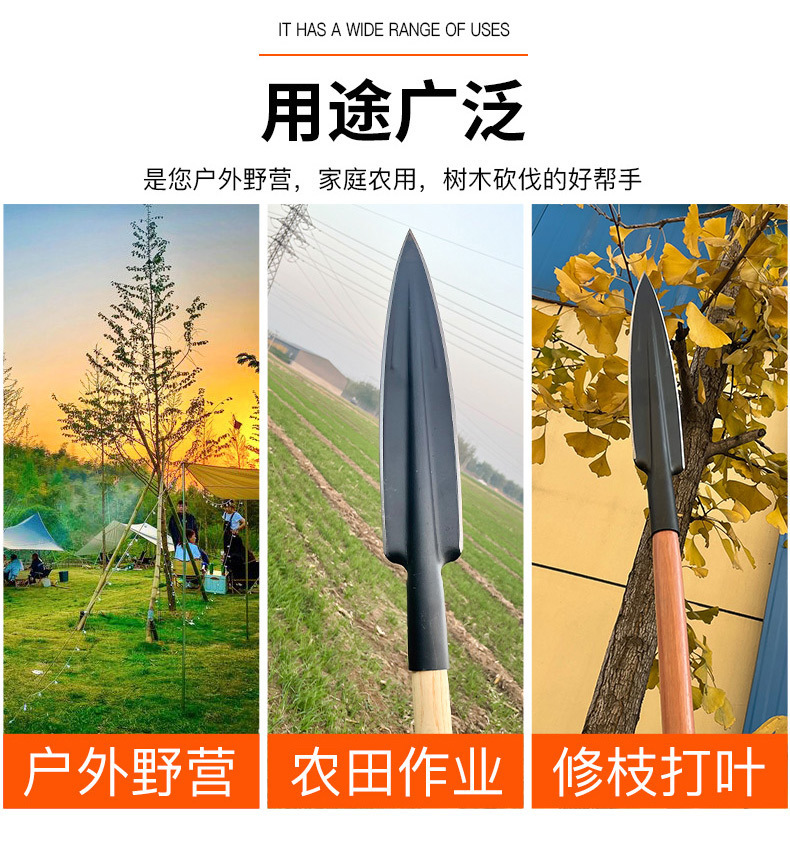 580effbe-f5f4-4898-a680-bf82b6e64404.jpe