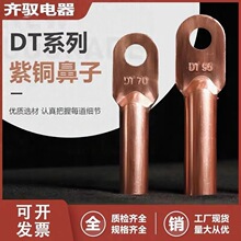 �~���ӽӾ�����DT10/16/35/50/70/95/ƽ�����~��|�����^�����Wʽ