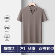 2025�ļ��¿���ʿT��ɣ��˿������Ÿ���Ž���괿ɫ�ٿ���POLO��