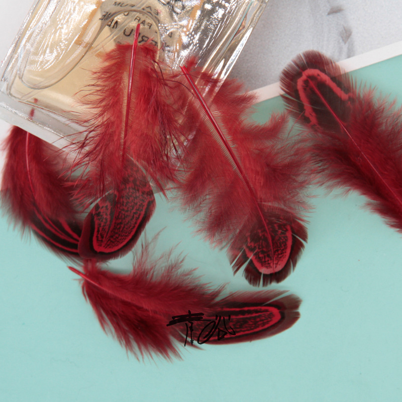 Fábrica directa pequeña serie de plumas rojas DIY accesorios accesorios de artesanía ropa accesorios escenario plumas