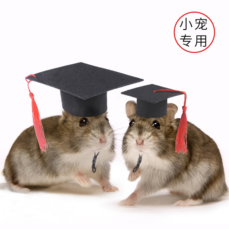 Pet hat black small pet decorative doctor's hat graduation season…