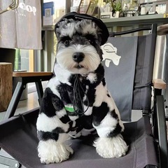 猫と犬の服と白黒の乳牛のコートとベルベットの厚い保温猫と犬の秋冬のファッションペットのコート