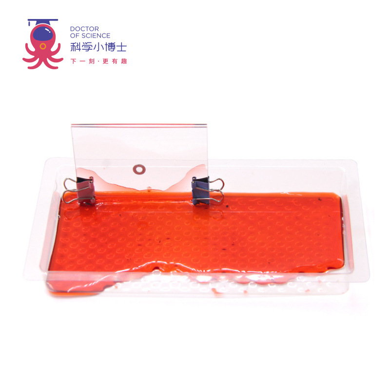 Ciencia pequeño experimento al por mayor vapor Escuela Primaria estudiante juguetes educativos ciencia y educación material hecho a mano paquete DIY Tecnología pequeña producción