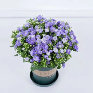 �{�L⏻��������������឵����ذ��L⏲��̨�����ļ��_����ֲ��