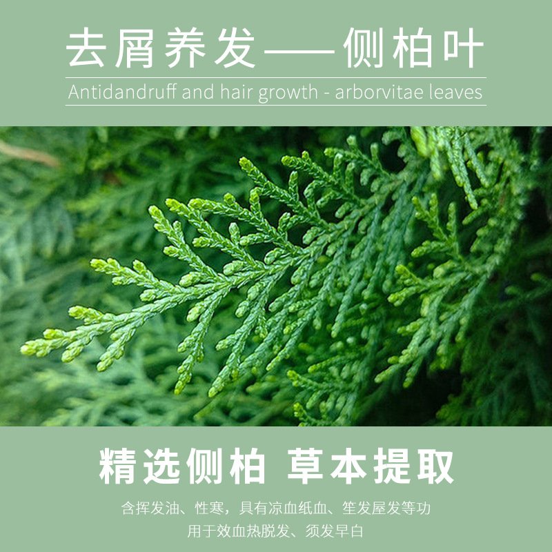 小尼芳香植物精油側柏何首烏去屑洗髮水不添加硅油植物洗護滋養