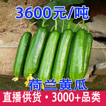 ���mˮ���S�ϟo��С�S�ϷN���ļ��̨���Բ���ͥԺ�߲�