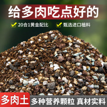 ���⌣���w�����I�B����������̿�Nֲ�����ʯ�~�弃�w����Ǥ��