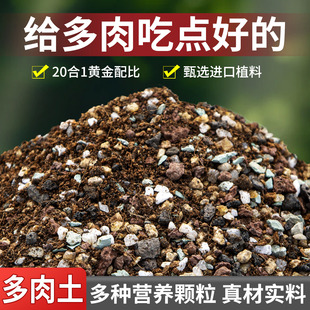 ���⌣���w�����I�B����������̿�Nֲ�����ʯ�~�弃�w����Ǥ��