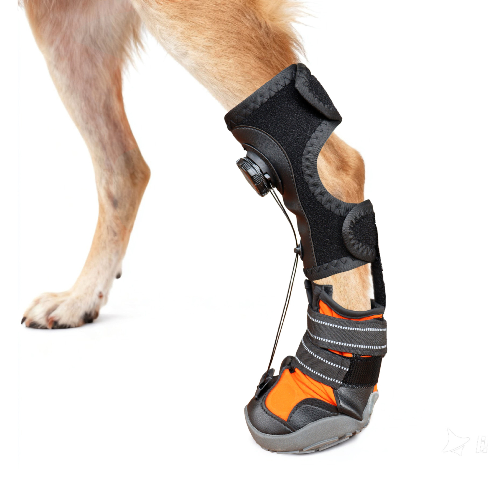 블랙 오렌지(D-6)