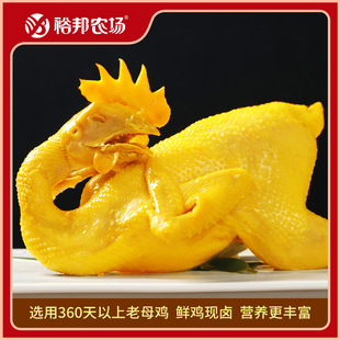 ԣ���r����Ƥ�S���u��ֻ��ĸ�u�����ʳ��˺�u�����u��朰l؛���l