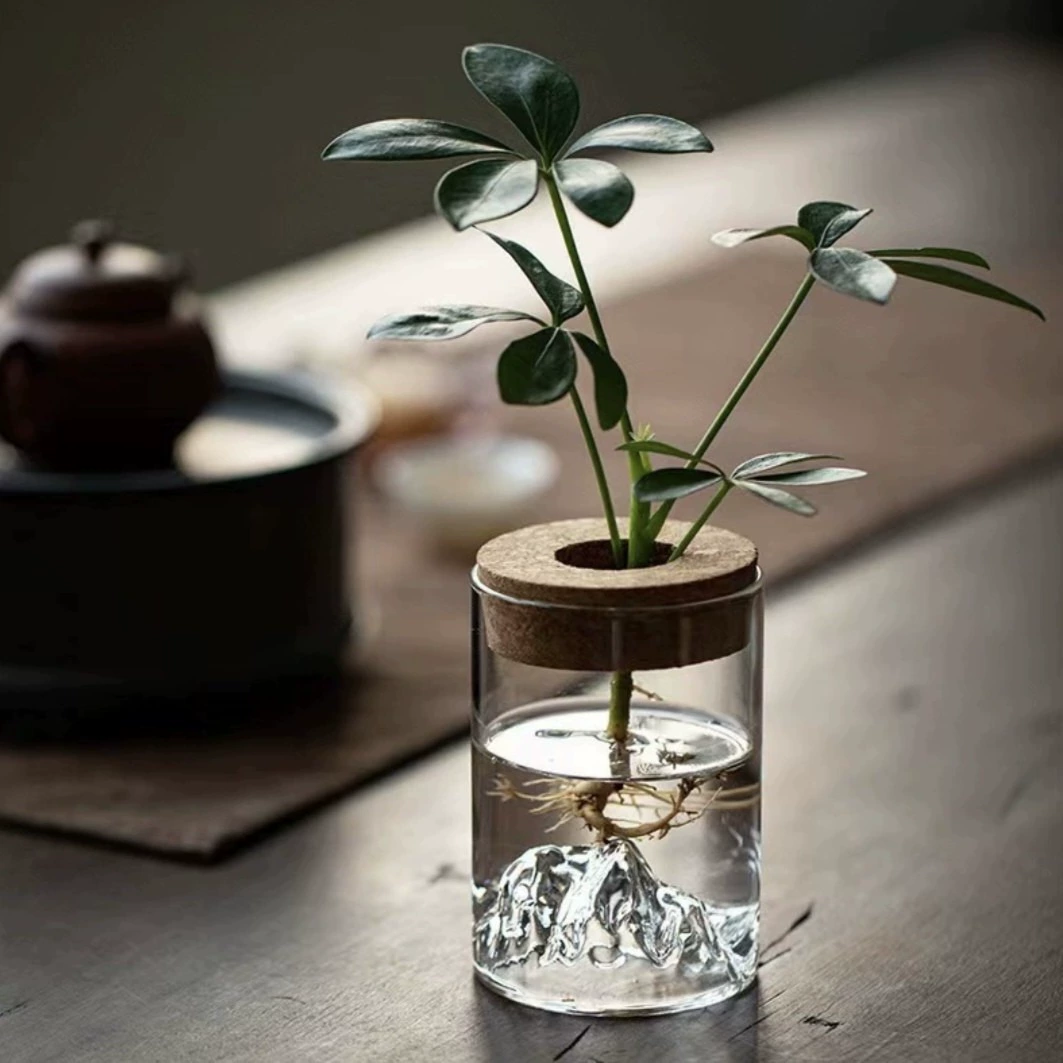 Маленькая стеклянная ваза, простой и прозрачный контейнер для гидропоники, маленький цветочный горшок с узким горлышком для зеленых растений и суккулентов, гидропонная ваза.