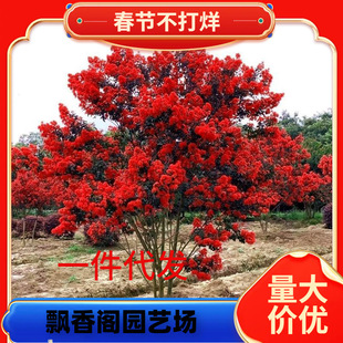 һ�����l������ޱ�������ԅ�����ޱ����ͥԺ�G���Nֲ������ޱ����