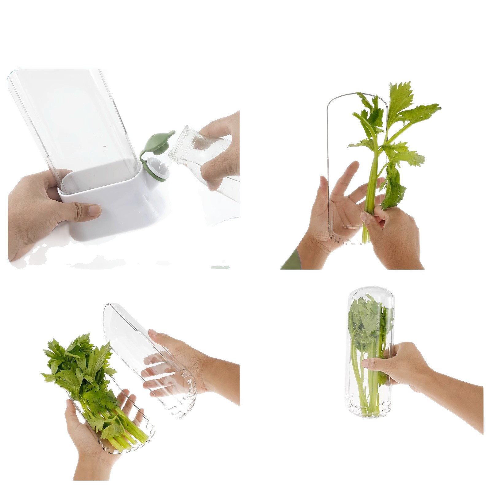 Caja de conservación de vegetales de vainilla transfronteriza anti-compresión malos conservadores ambientales creativos fabricantes de tazas de conservación de cilantro al por mayor