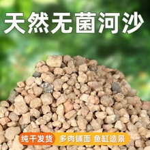 河沙养花天然精筛粗沙细沙鱼缸底砂多肉君子兰配土铺面