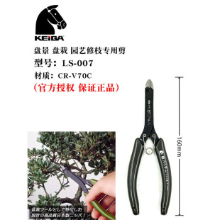 �ձ��M���R�����Լ����辰����֦���������ͼ����X�z�F�z�����Q��